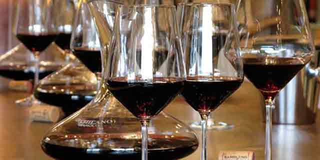 Barolo, the king of wines, a great worldwide famous red wine - Pic 7