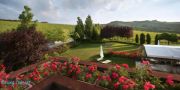Holiday Farm Cascina Barac - Alba - Pic 5