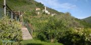 Country House Villa Paggi  - Carasco - Pic 2