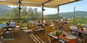 Country House Villa Paggi  - Carasco - Pic 3