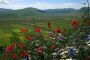 Umbria : View from Castelluccio of Norcia