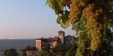 Tour in Italy: Erbaluce: a great white wine from Canavese area in Piedmont  - pic 3