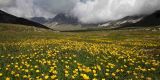 Tour in Italy: Campo Imperatore in Gran Sasso and Mount Laga National Park  - Pic 4