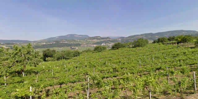 Valpolicella Valley where the famous Amarone wine comes from