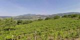 Tour in Italy: Valpolicella Valley where the famous Amarone wine comes from - pic 1
