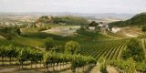 Tour in Italy: Discover the Euganean Hills its vineyards and medieval towns - pic 1