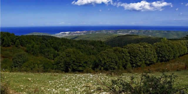 Strolling in Gargano National Park and Umbra Forest, Italy