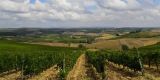 Tour in Italy: Chianti tour to discover Medieval villages and Chianti wine - pic 3