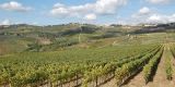 Tour in Italy: Chianti tour to discover Medieval villages and Chianti wine - Pic 6