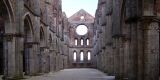 Tour in Italy: Tour through the Terre di Siena from Siena to San Galgano - Pic 6