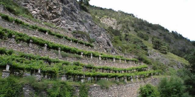 The wine road of Mount Emilius in Aosta Valley