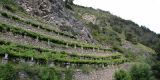 Tour in Italy: The wine road of Mount Emilius in Aosta Valley - pic 1