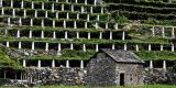 Tour in Italy: The wine road of Mount Emilius in Aosta Valley - pic 3