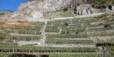 Tour in Italy: The wine road of Mount Emilius in Aosta Valley - Pic 6