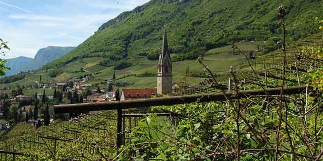Wine, food and culture: the famous Wine road in South Tyrol