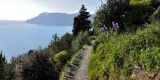 Tour in Italy: Hiking along the Blue Trail to discover Cinque Terre - Pic 6