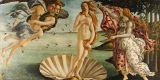 Tour in Italy: Uffizi Gallery and Palazzo Vecchio, the heart of Florence - Pic 6