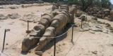 Tour in Italy: Valley of the Temples, Agrigento, ancient Hellenic evidence - Pic 6