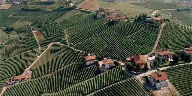 Barbaresco, the great dry red wine produced in Piedmont
