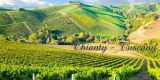 Tuscany: Chianti, the world-renowned Italian wine produced in Tuscany