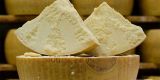 Tour in Italy: Parmigiano Reggiano DOP the world-wide famous Italian cheese - pic 2