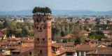 Tour in Italy: Lucca, the city with Renaissance walls, churches and towers - Pic 6